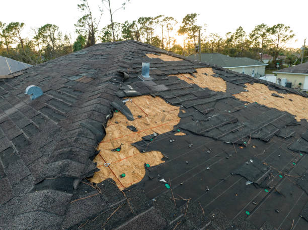 Best Roof Ventilation Installation  in Marin City, CA