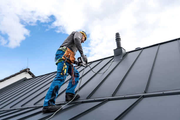 Best Roof Maintenance and Cleaning  in Marin City, CA